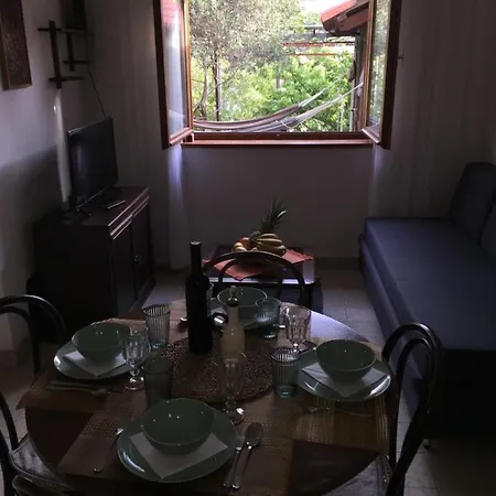 Shambala Supetar